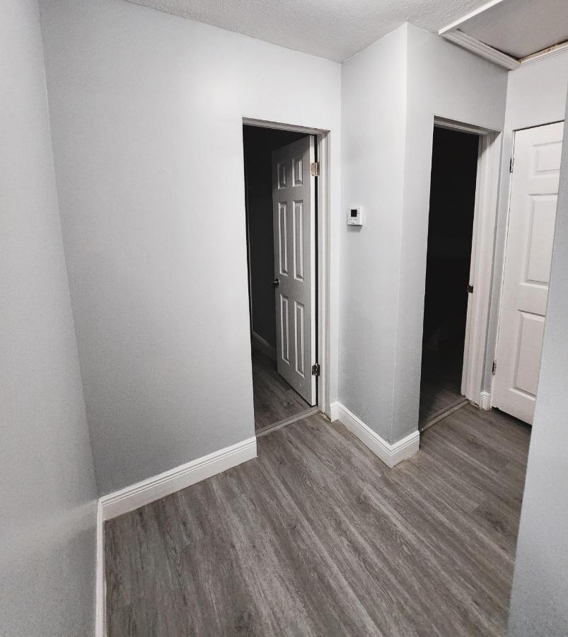 Cozy 3 Bedroom House Near Airport/Raymond Stadium/Downtown. Tampa Zewnętrze zdjęcie